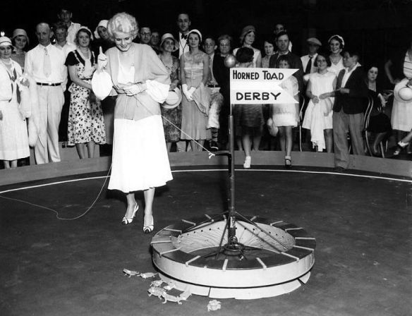 Harlow lets out toads for a Horned Toad Derby in 1931.