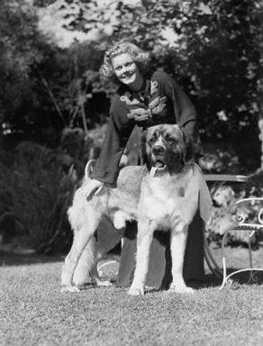 Harlow in 1936 with her dog