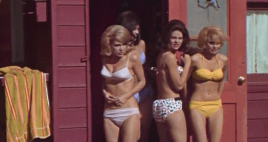 The undercover grant committee. 