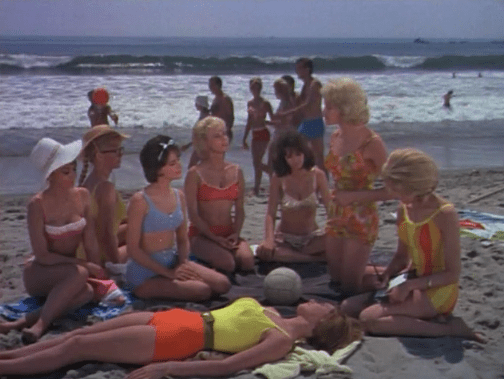 Sorority sisters plot money making schemes in 