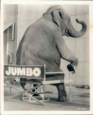 jumbo