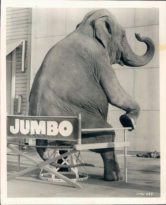 jumbo1.jpg?w=2000&h=