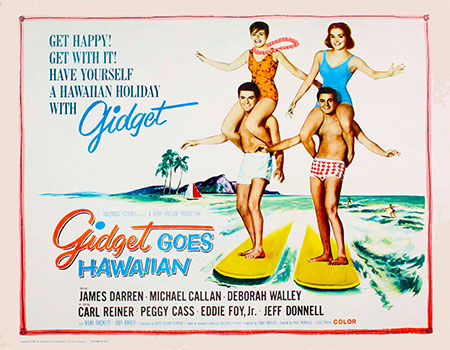 gidget goes hawaiian2